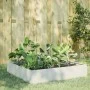 Beet aus weißem Stahl 100x100x33,5 cm von , Töpfe und Pflanzgefäße - Ref: Foro24-851025, Preis: 51,93 €, Rabatt: %
