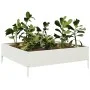 Beet aus weißem Stahl 100x100x33,5 cm von , Töpfe und Pflanzgefäße - Ref: Foro24-851025, Preis: 51,93 €, Rabatt: %