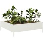 Beet aus weißem Stahl 100x100x33,5 cm von , Töpfe und Pflanzgefäße - Ref: Foro24-851025, Preis: 54,01 €, Rabatt: %