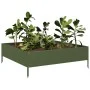 Arriate de acero verde oliva 100x100x33,5 cm de , Maceteros y jardineras - Ref: Foro24-851027, Precio: 49,23 €, Descuento: %