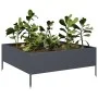 Anthrazitgraues Stahlbeet 100x100x25 cm von , Töpfe und Pflanzgefäße - Ref: Foro24-851033, Preis: 54,76 €, Rabatt: %