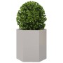 Sechseckige Pflanzschale, 2 Stück, Edelstahl, 46x40x45 cm. von , Töpfe und Pflanzgefäße - Ref: Foro24-851117, Preis: 85,34 €,...