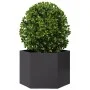Jardinera hexagonal acero negra 69x60x45 cm de , Maceteros y jardineras - Ref: Foro24-851122, Precio: 64,99 €, Descuento: %