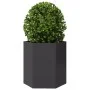 Sechseckiger schwarzer Stahl-Pflanzkübel 46x40x45 cm von , Töpfe und Pflanzgefäße - Ref: Foro24-851108, Preis: 48,05 €, Rabat...
