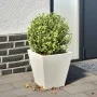 Jardinera hexagonal acero blanca 30x30x30 cm de , Maceteros y jardineras - Ref: Foro24-851040, Precio: 29,12 €, Descuento: %