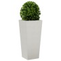 Pflanzkübel 2 Stück aus Edelstahl 35x35x75 cm von , Töpfe und Pflanzgefäße - Ref: Foro24-851089, Preis: 151,54 €, Rabatt: %