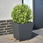 Pflanzgefäß aus anthrazitgrauem Stahl 40x40x40 cm von , Töpfe und Pflanzgefäße - Ref: Foro24-851056, Preis: 41,20 €, Rabatt: %