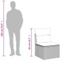 Set sofás jardín 10 pzas con cojines ratán sintético gris claro by , Garden sets - Ref: Foro24-3223071, Price: 716,57 €, Disc...
