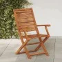 Faltbare Gartenstühle mit Armlehnen, 2 Stück Massivholz Akazie. von , Gartenstühle - Ref: Foro24-367698, Preis: 137,43 €, Rab...