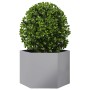 Sechseckiges Blumenbeet aus feuerverzinktem Stahl, 69x60x45 cm. von , Töpfe und Pflanzgefäße - Ref: Foro24-851127, Preis: 64,...