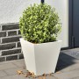 Jardineras 2 unidades acero blanco 30x30x30 cm von , Töpfe und Pflanzgefäße - Ref: Foro24-851041, Preis: 43,08 €, Rabatt: %
