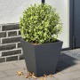 Jardineras 2 unidades acero gris antracita 30x30x30 cm von , Töpfe und Pflanzgefäße - Ref: Foro24-851043, Preis: 40,27 €, Rab...