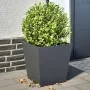 Jardineras 2 unidades acero gris antracita 40x40x40 cm de , Maceteros y jardineras - Ref: Foro24-851057, Precio: 67,29 €, Des...