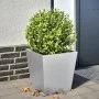 Pflanzkübel aus verzinktem Stahl 40x40x40 cm von , Töpfe und Pflanzgefäße - Ref: Foro24-851062, Preis: 38,83 €, Rabatt: %