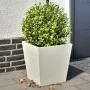 Jardineras 2 unidades acero blanco 40x40x40 cm de , Maceteros y jardineras - Ref: Foro24-851055, Precio: 66,70 €, Descuento: %