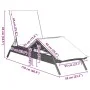 Liegestuhl mit hellem grauem synthetischem Rattan-Kissen. von , Liegen - Ref: Foro24-4002706, Preis: 144,30 €, Rabatt: %