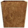 Jardineras 2 unidades acero oxidado 50x50x50 cm de , Maceteros y jardineras - Ref: Foro24-851079, Precio: 92,21 €, Descuento: %