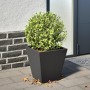 Jardinera hexagonal acero negra 30x30x30 cm de , Maceteros y jardineras - Ref: Foro24-851038, Precio: 28,46 €, Descuento: %
