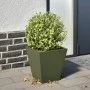 Jardinera hexagonal acero verde oliva 30x30x30 cm de , Maceteros y jardineras - Ref: Foro24-851044, Precio: 31,98 €, Descuent...