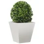 Jardinera hexagonal de acero inoxidable 30x30x30 cm de , Maceteros y jardineras - Ref: Foro24-851046, Precio: 40,06 €, Descue...