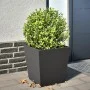 Schwarzer Stahl-Pflanzkübel 40x40x40 cm von , Töpfe und Pflanzgefäße - Ref: Foro24-851052, Preis: 43,18 €, Rabatt: %