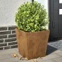 Pflanzkübel 2 Stück aus rostigem Stahl 40x40x40 cm von , Töpfe und Pflanzgefäße - Ref: Foro24-851065, Preis: 61,42 €, Rabatt: %