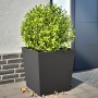 Pflanzkübel 2 Stück aus schwarzem Stahl 50x50x50 cm von , Töpfe und Pflanzgefäße - Ref: Foro24-851067, Preis: 80,89 €, Rabatt: %