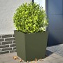 Jardineras 2 uds acero verde oliva 50x50x50 cm de , Maceteros y jardineras - Ref: Foro24-851073, Precio: 78,27 €, Descuento: %