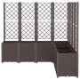 Jardinera con enrejado PP marrón 160x160x140 cm de , Maceteros y jardineras - Ref: Foro24-367885, Precio: 305,30 €, Descuento: %