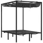 Double sun lounger with side curtains and anthracite gray awning by vidaXL, Loungers - Ref: Foro24-313930, Price: 364,77 €, D...