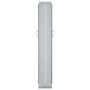 Toldo lateral retráctil gris antracita 120x600 cm de , Sombrillas - Ref: Foro24-48450, Precio: 184,49 €, Descuento: %