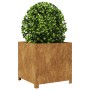 Jardinera de acero oxidado 50x50x50 cm de , Maceteros y jardineras - Ref: Foro24-851219, Precio: 80,85 €