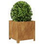 Pflanzkübel 2 Stück aus rostigem Stahl 40x40x40 cm von , Töpfe und Pflanzgefäße - Ref: Foro24-851212, Preis: 105,58 €, Rabatt: %
