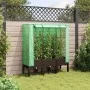 Arriate con cubierta invernadero aspecto ratán 120x40x140 cm by , Pots and planters - Ref: Foro24-4015806, Price: 94,05 €, Di...