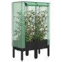 Hochbeet mit Gewächshausabdeckung im Rattan-Look 80x40x140 cm von , Töpfe und Pflanzgefäße - Ref: Foro24-4015819, Preis: 80,4...