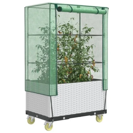 Arriate con cubierta invernadero aspecto ratán 80x50x182 cm by , Pots and planters - Ref: Foro24-4015850, Price: 132,35 €, Di...