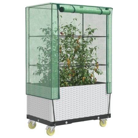 Hochbeet mit Gewächshausabdeckung im Rattan-Look 80x50x182 cm von , Töpfe und Pflanzgefäße - Ref: Foro24-4015850, Preis: 128,...