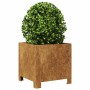 Pflanzkübel 2 Stück aus rostigem Stahl 30x30x30 cm von , Töpfe und Pflanzgefäße - Ref: Foro24-851198, Preis: 56,18 €, Rabatt: %