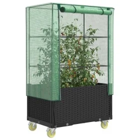 Raised bed with greenhouse cover in rattan look 80x50x182 cm by , Pots and planters - Ref: Foro24-4015822, Price: 144,84 €, D...