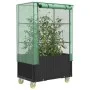 Arriate con cubierta invernadero aspecto ratán 80x50x182 cm de , Maceteros y jardineras - Ref: Foro24-4015822, Precio: 144,96...