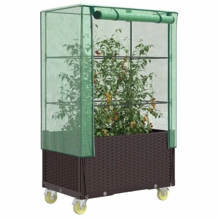 Raised bed with greenhouse cover in rattan look 80x50x182 cm by , Pots and planters - Ref: Foro24-4015808, Price: 144,60 €, D...