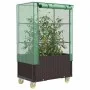 Raised bed with greenhouse cover in rattan look 80x50x182 cm by , Pots and planters - Ref: Foro24-4015808, Price: 144,60 €, D...