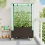 Raised bed with greenhouse cover in rattan look 80x50x182 cm by , Pots and planters - Ref: Foro24-4015808, Price: 144,60 €, D...
