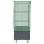Raised bed with greenhouse cover in rattan look 80x50x182 cm by , Pots and planters - Ref: Foro24-4015836, Price: 128,82 €, D...