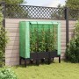 Raised bed with greenhouse cover in rattan appearance 120x40x140 cm by , Pots and planters - Ref: Foro24-4015820, Price: 107,...