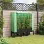 Raised bed with greenhouse cover in rattan appearance 120x40x140 cm by , Pots and planters - Ref: Foro24-4015820, Price: 105,...
