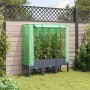 Raised bed with greenhouse cover in rattan appearance 120x40x140 cm by , Pots and planters - Ref: Foro24-4015834, Price: 107,...