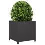 Schwarzer Stahl-Pflanzkübel 50x50x50 cm von , Töpfe und Pflanzgefäße - Ref: Foro24-851213, Preis: 73,39 €, Rabatt: %