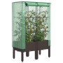Raised bed with greenhouse cover in rattan look 80x40x140 cm by , Pots and planters - Ref: Foro24-4015805, Price: 70,22 €, Di...