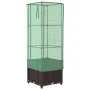 Arriate con cubierta invernadero aspecto ratán 40x40x139 cm by , Pots and planters - Ref: Foro24-4015799, Price: 54,37 €, Dis...